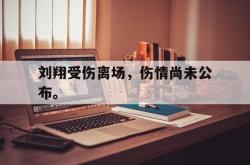 IM电竞网页版-刘翔受伤离场，伤情尚未公布。