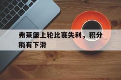 电子竞技下载-弗莱堡上轮比赛失利，积分稍有下滑