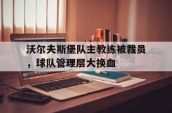 电子竞技体育平台-沃尔夫斯堡队主教练被裁员，球队管理层大换血